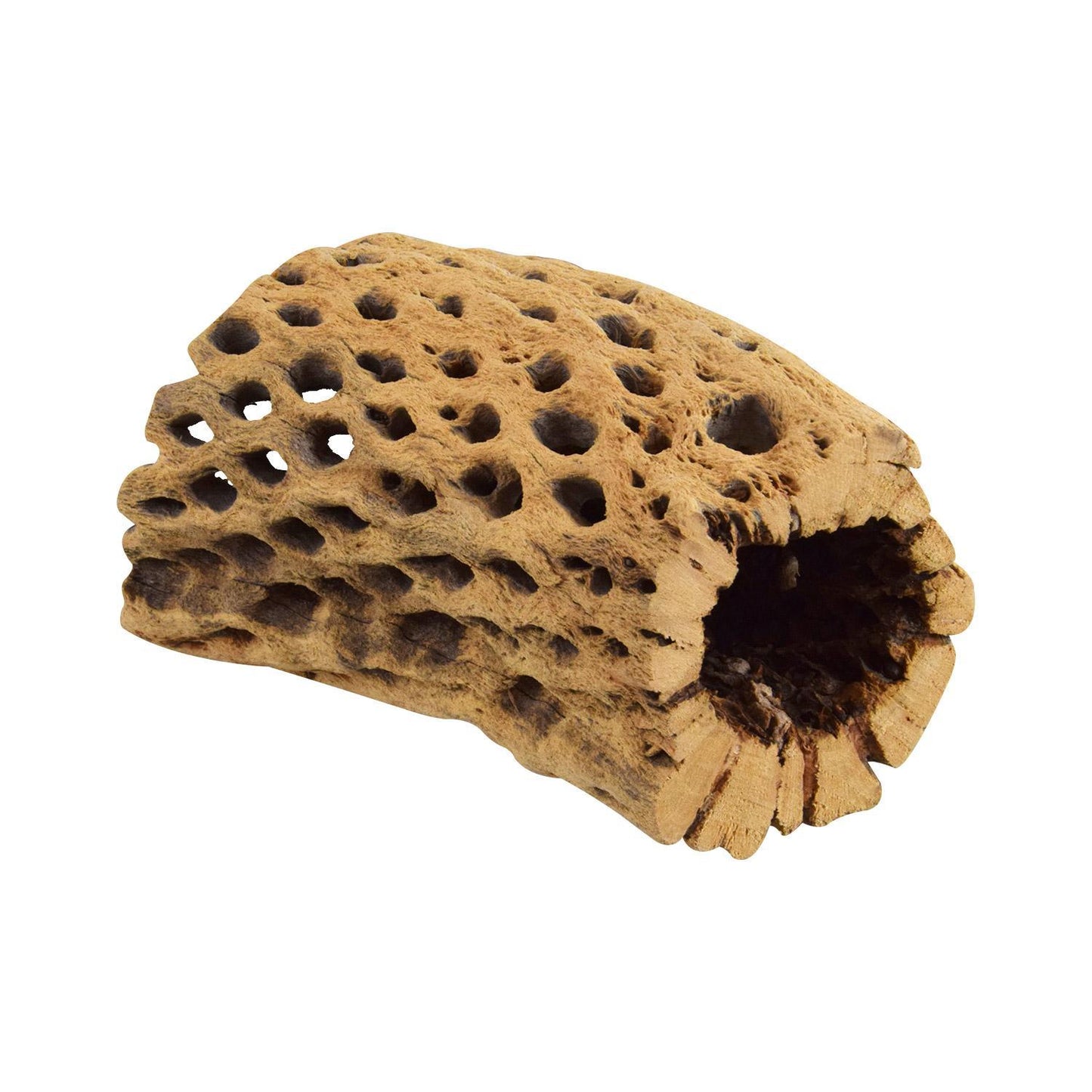 UT Small Cholla Tunnel Medium 4"