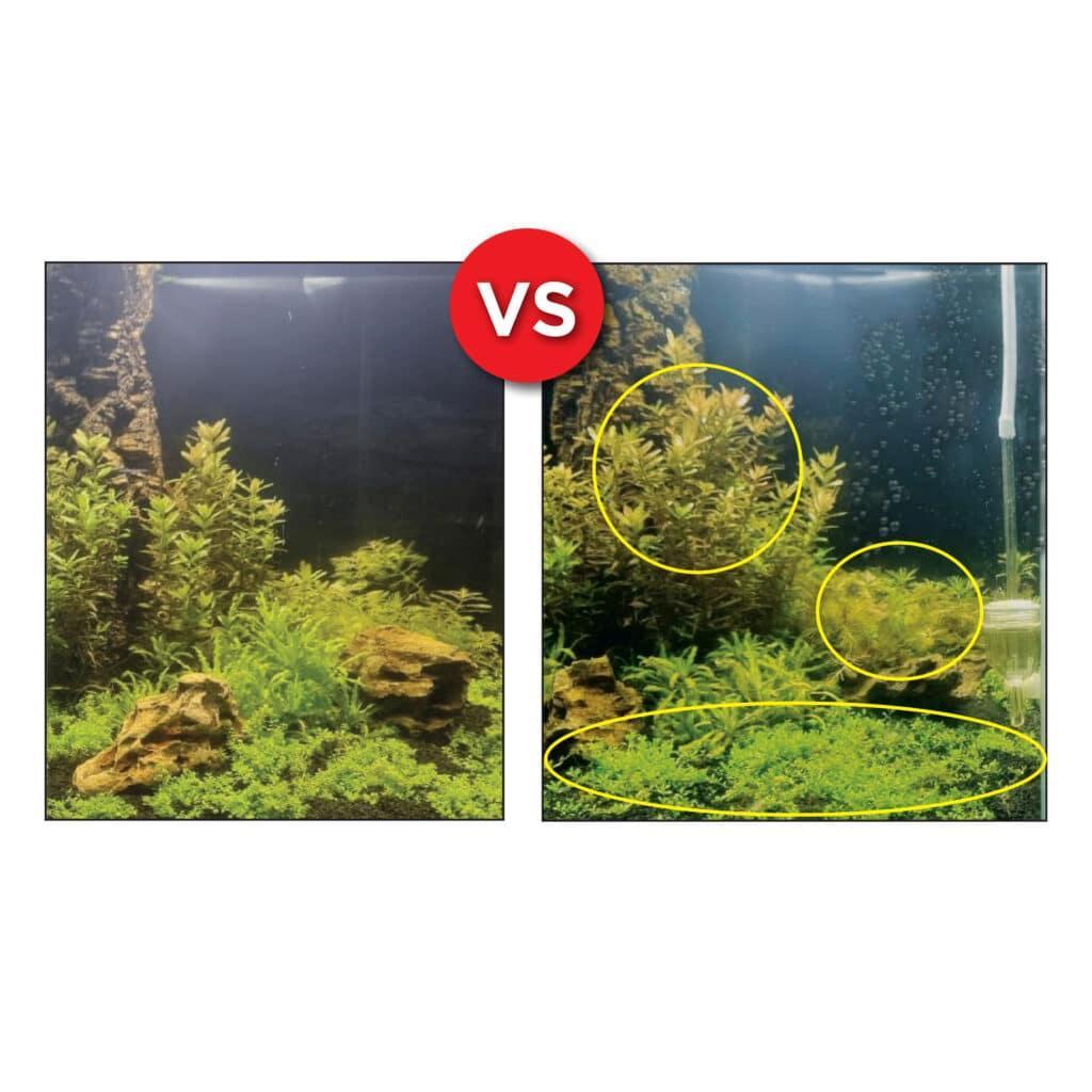 Fluval BIO CO2 125L