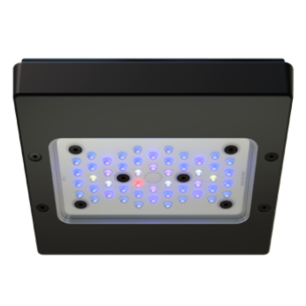 Radion XR15 G6 BLUE