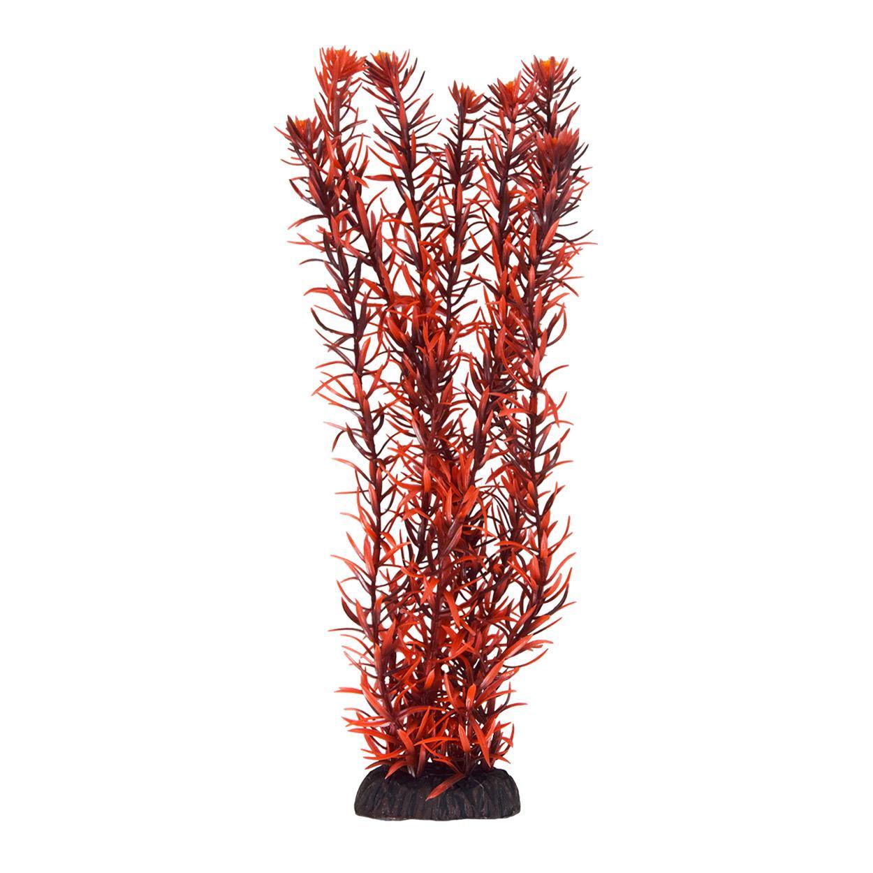 UT Rotala Indica - 12"