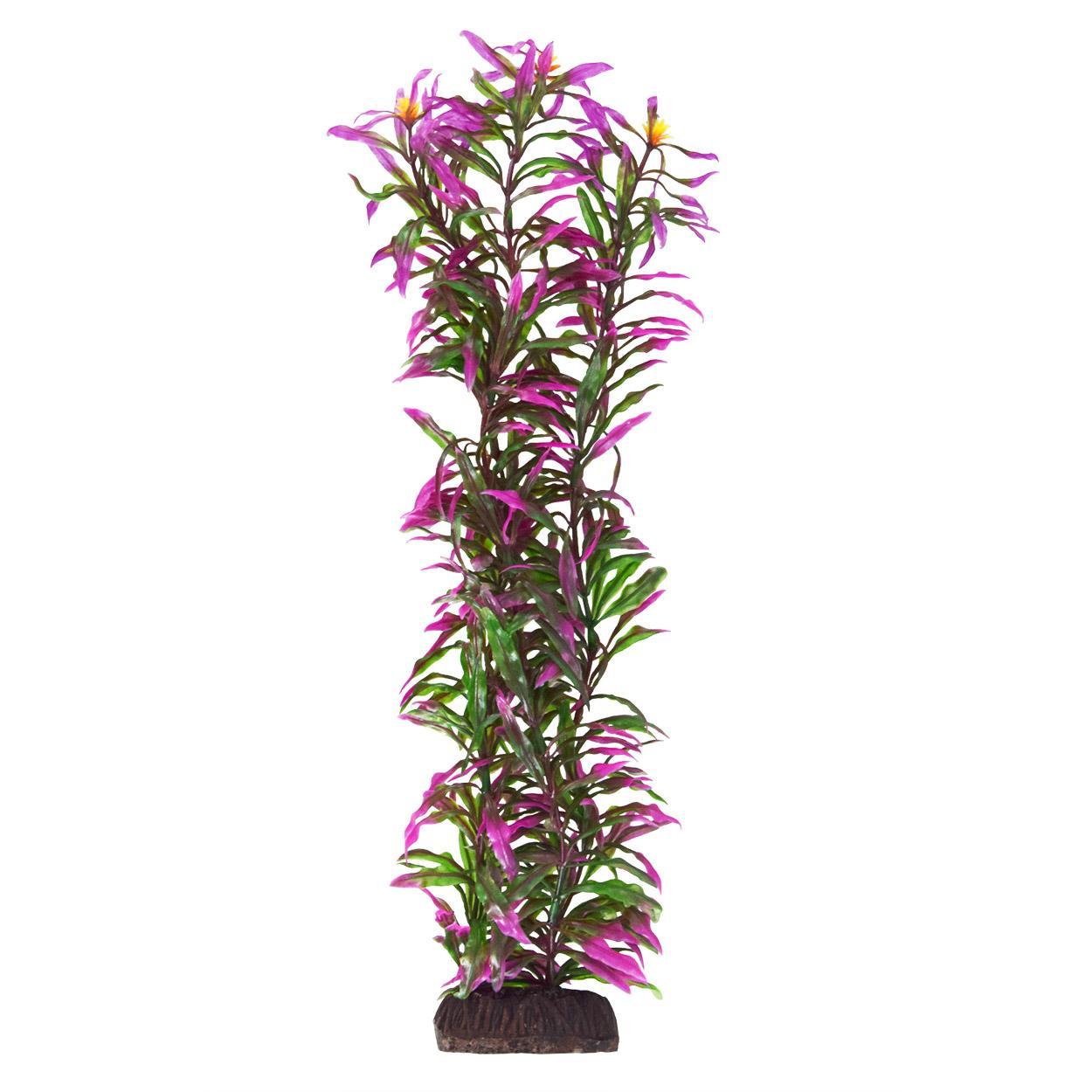 UT Hygro Araguais - 16"