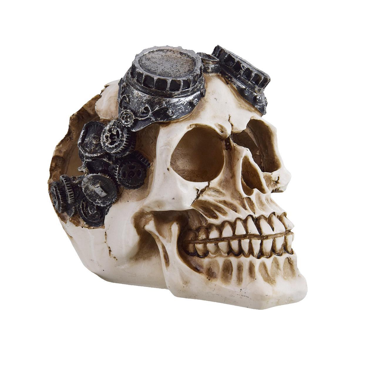 UT Mechanical Skull