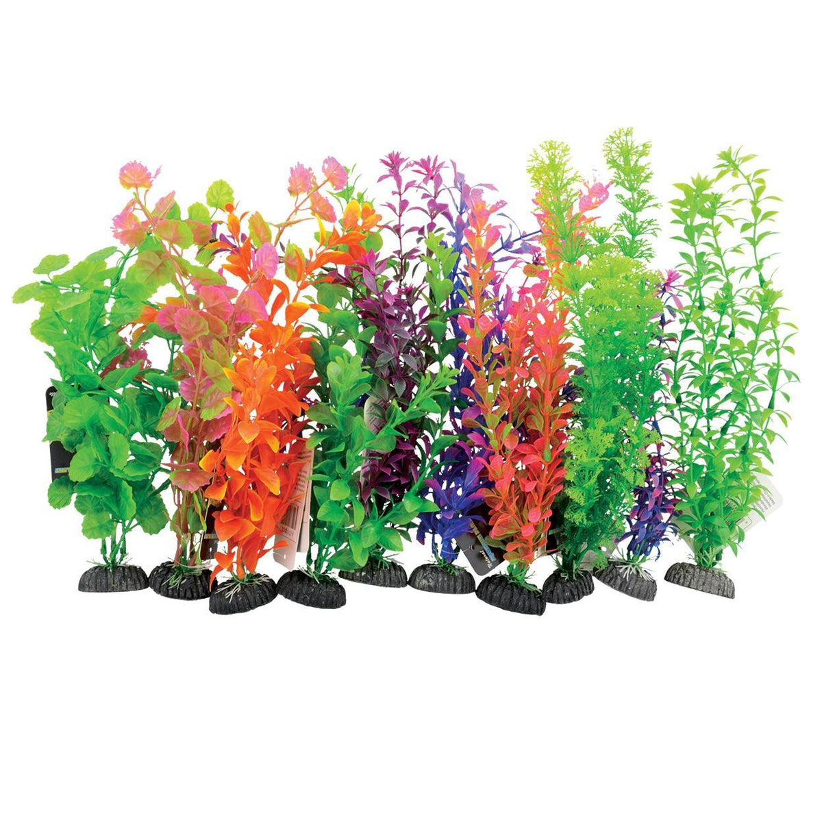 Plant on Rock Value 10pk Lrg