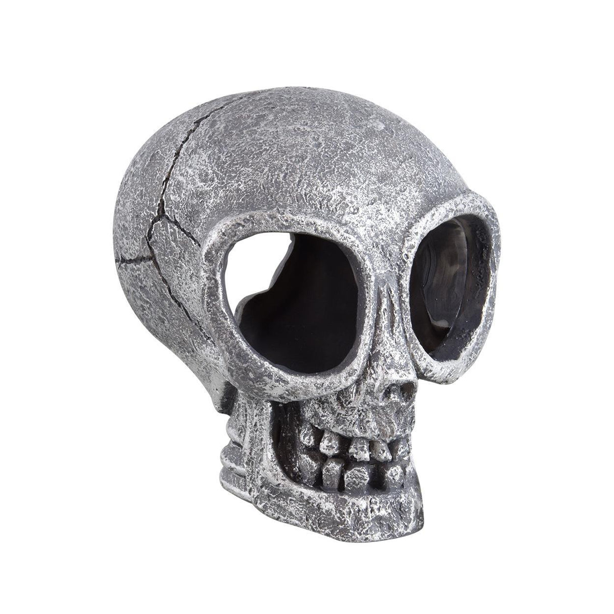 Alien Skull