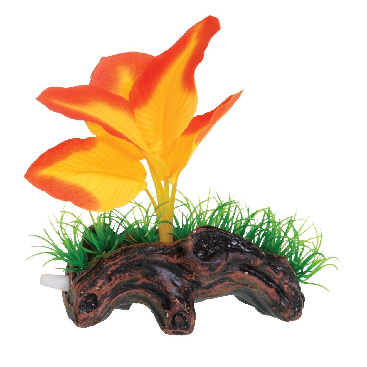 UT Orange Broad Leaf Mini Log