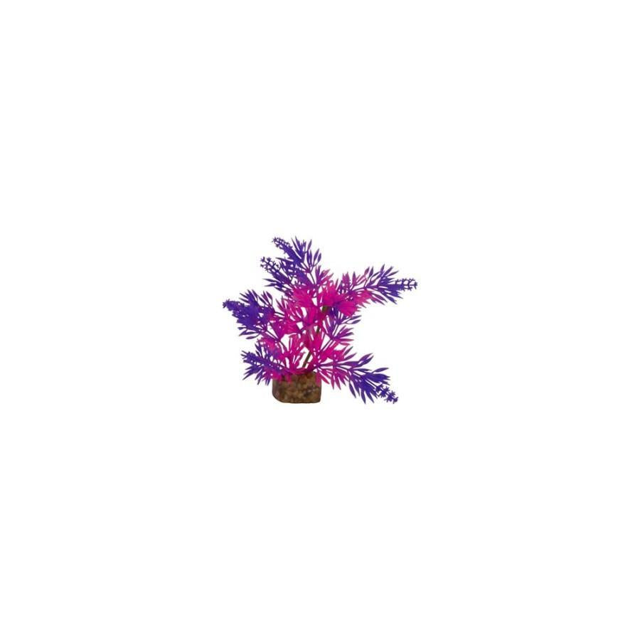 Tetra GloFish Plant Purple/Pink - Small
