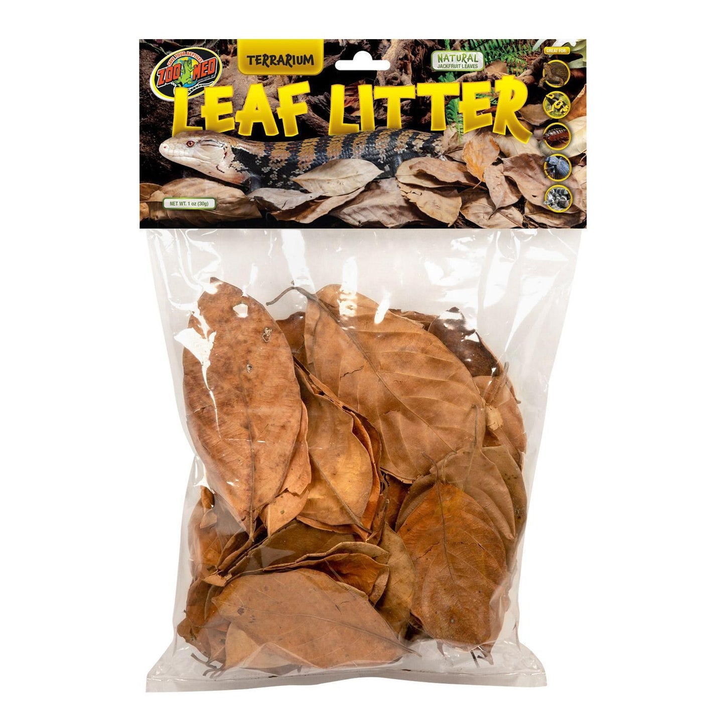 ZOOMED LEAF LITTER