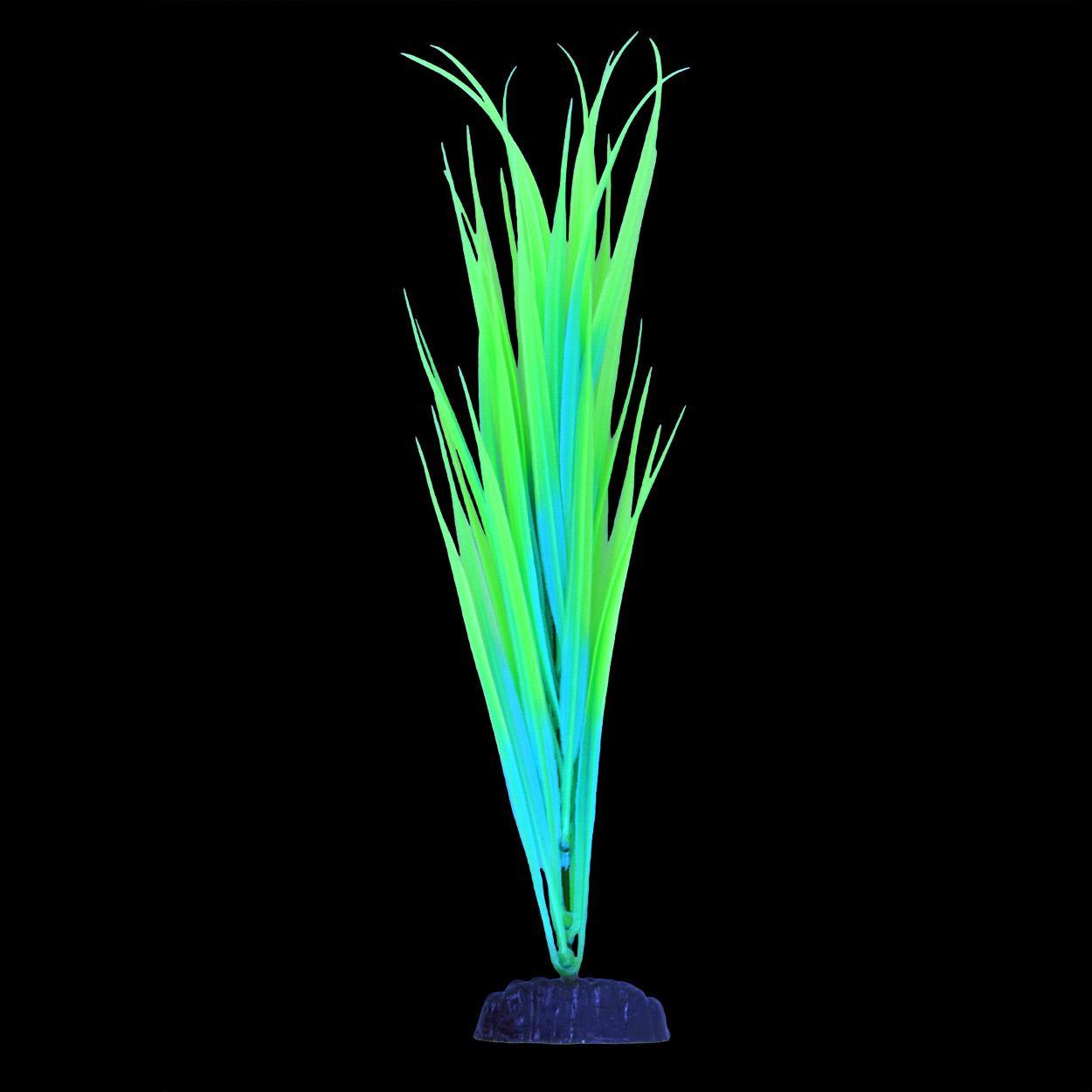UT Glow Sagittaria Green