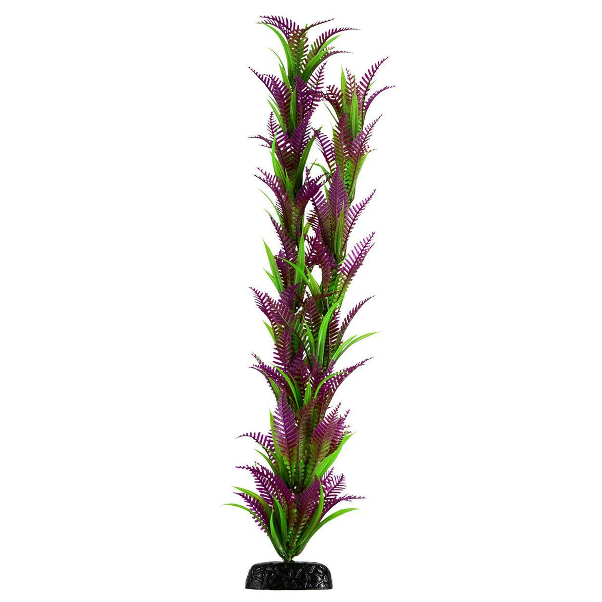 Lonely Heart Fern - 24"