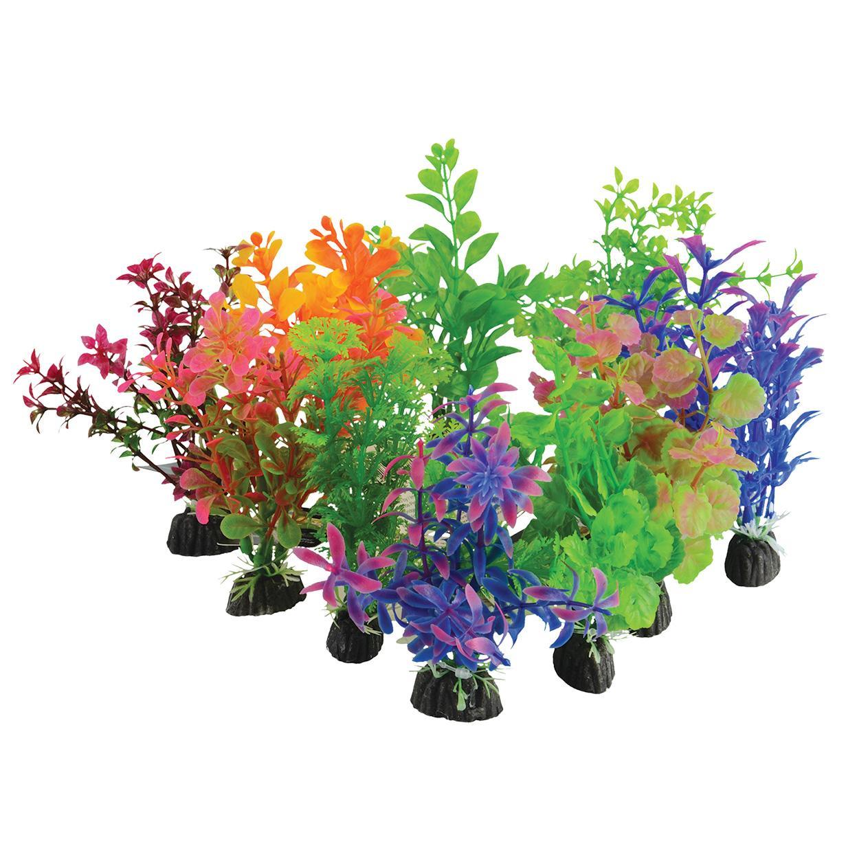 10Pk Plant on Rock Value (Small)