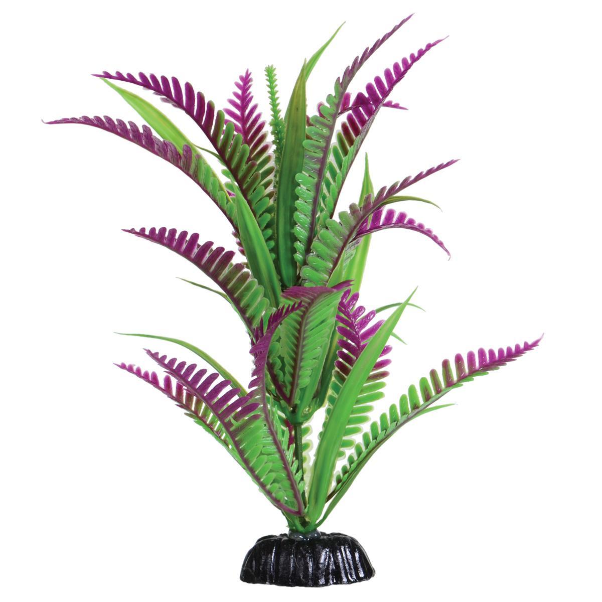 Lonely Heart Fern - 8"