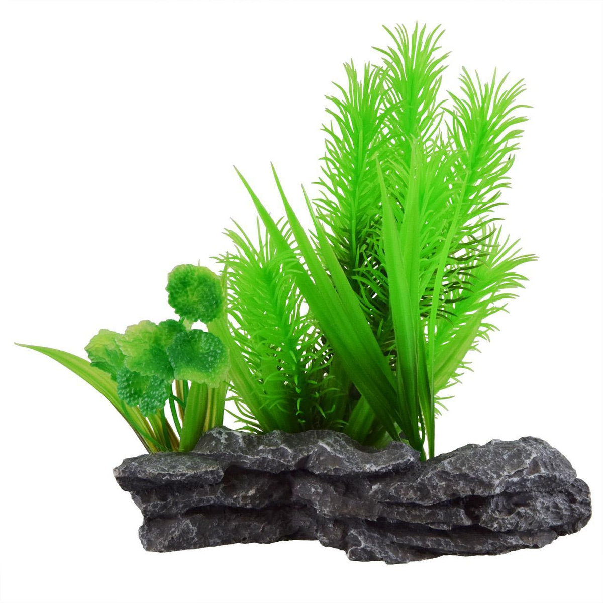 Hornwort Mound