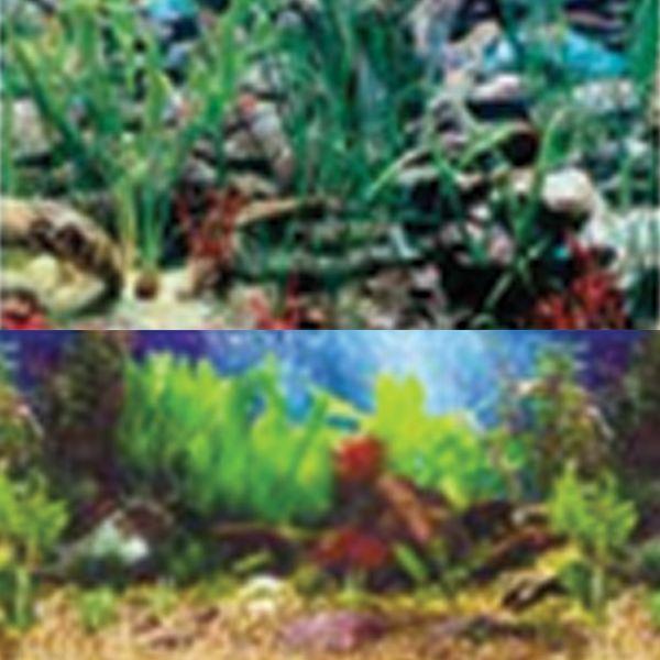 Tropical Blue/Shalescape 24x48"