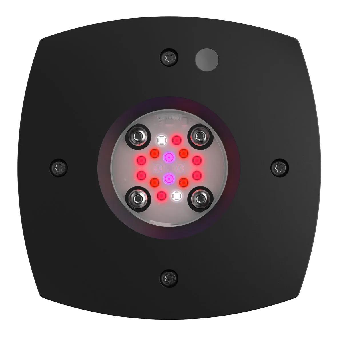 AI Prime Fuge