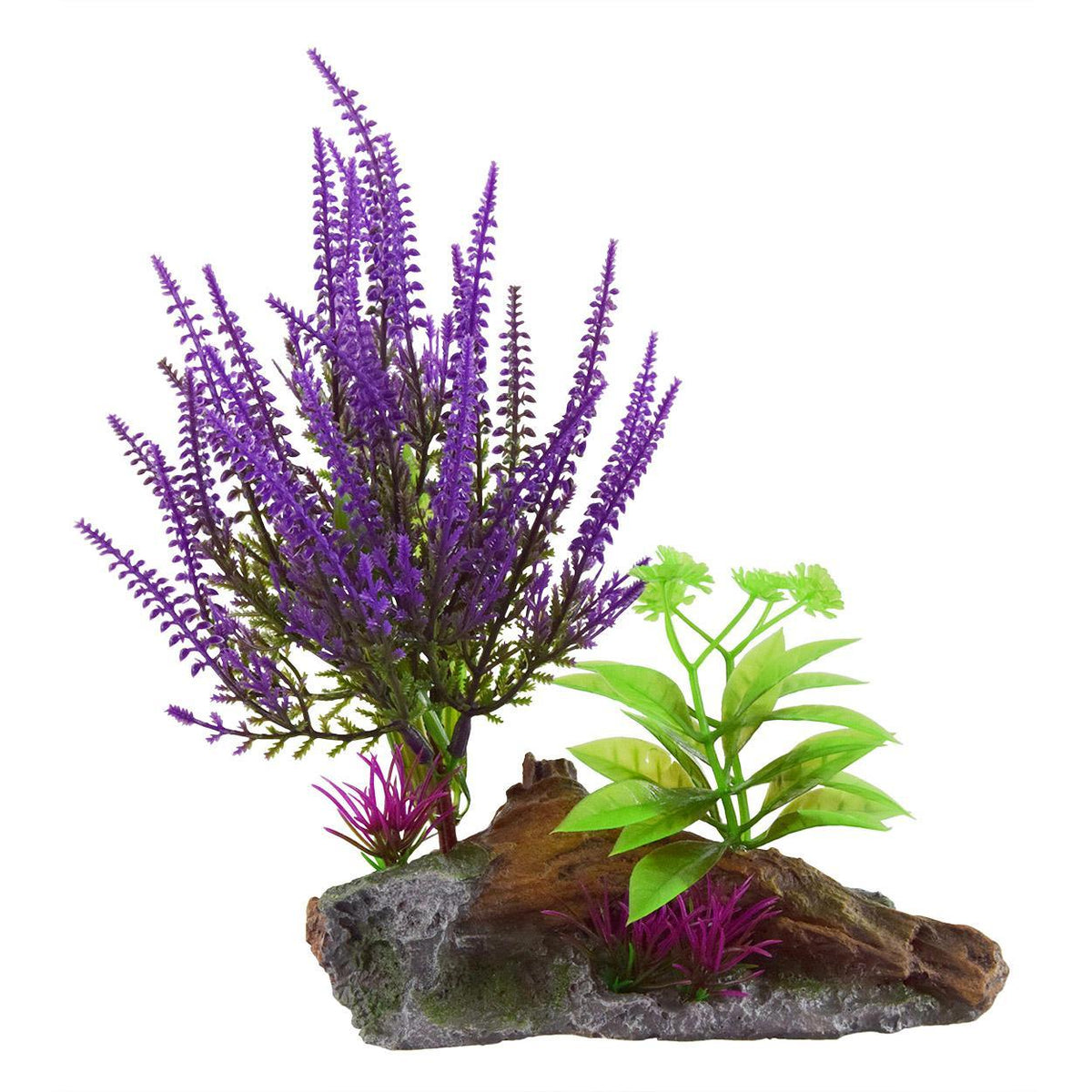 Lilac On Root