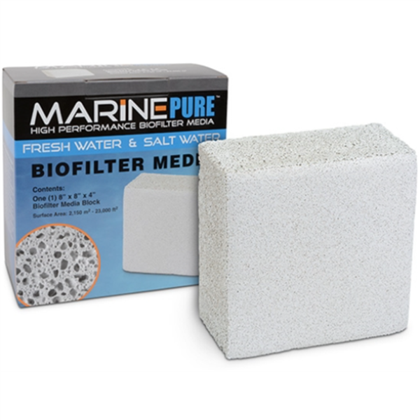 Marine Pure 8×8×4" Block