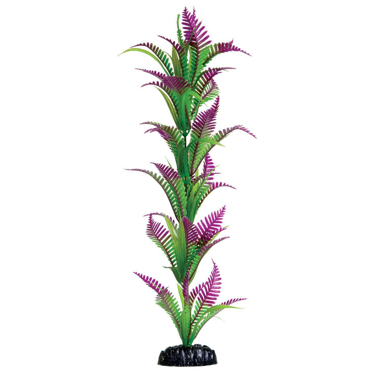 Lonely Heart Fern - 16"