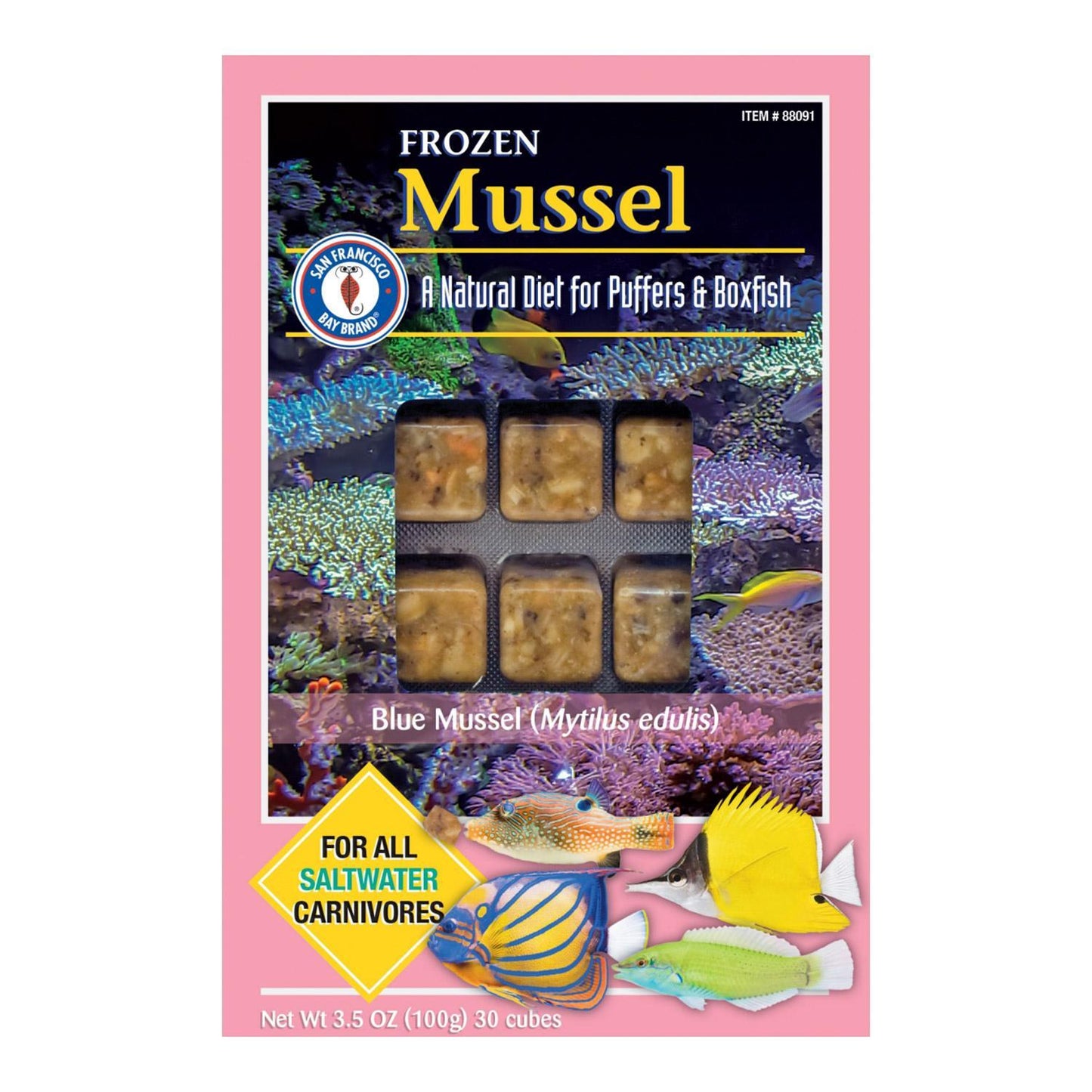 SFB Chopped Mussels 3.5oz