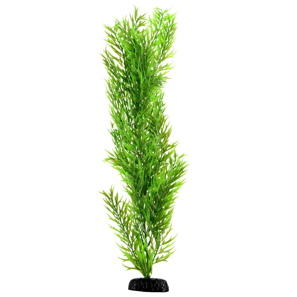 Green Bamboo 24"