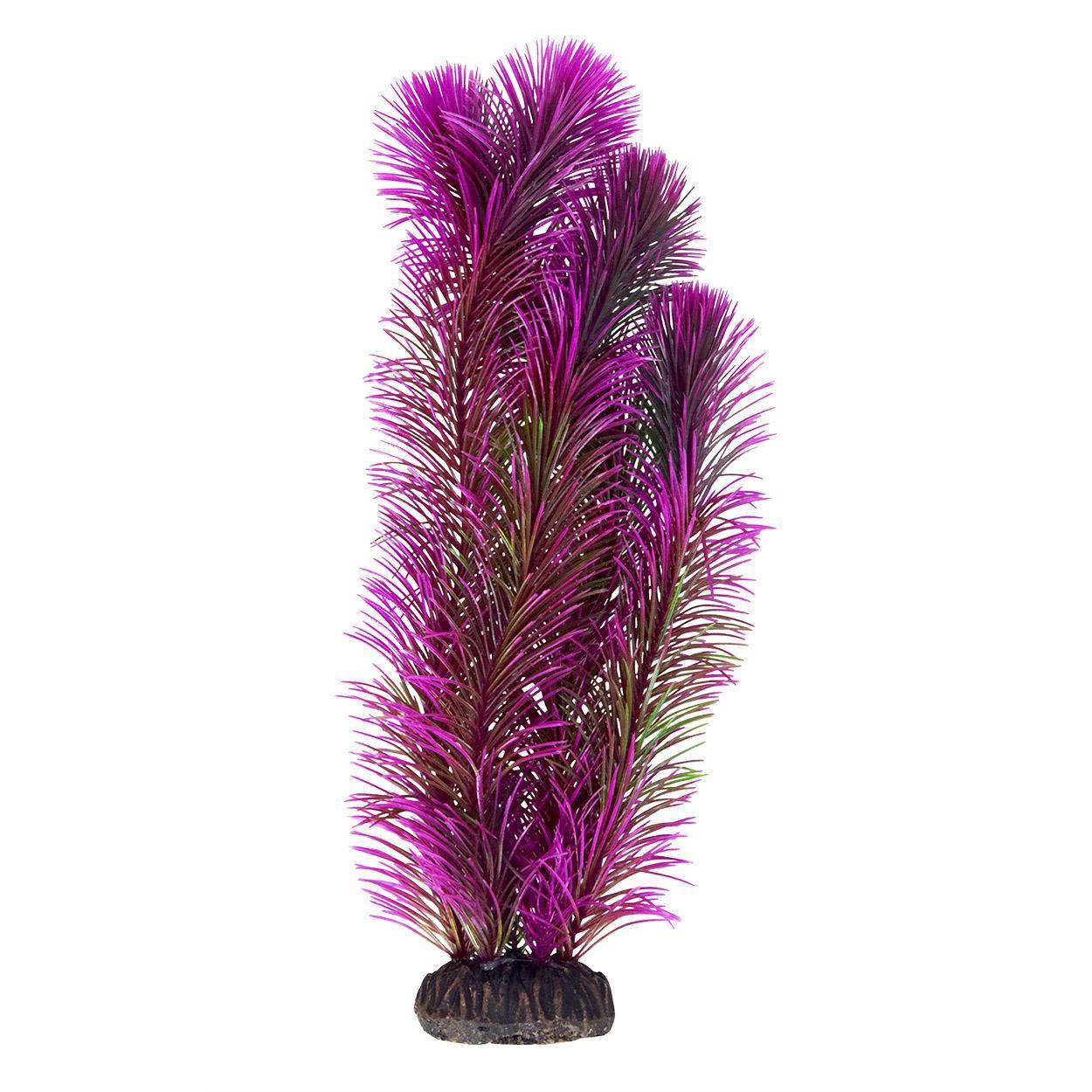 UT Ambulia - Purple - 12"