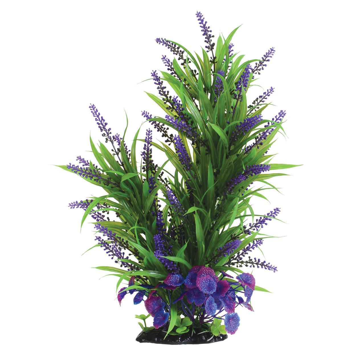 Purple Passion 16"