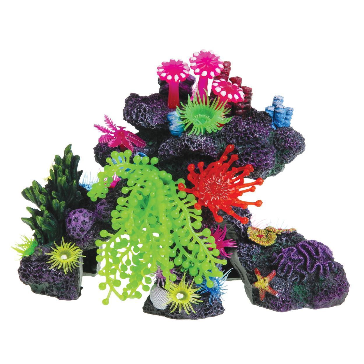 Reef Cave