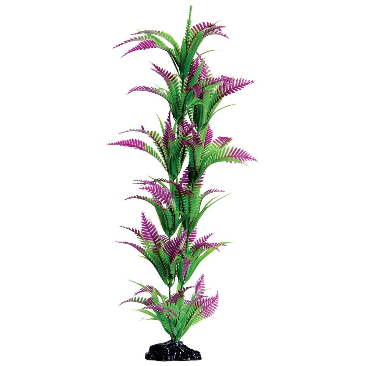 Lonely Heart Fern - 20"
