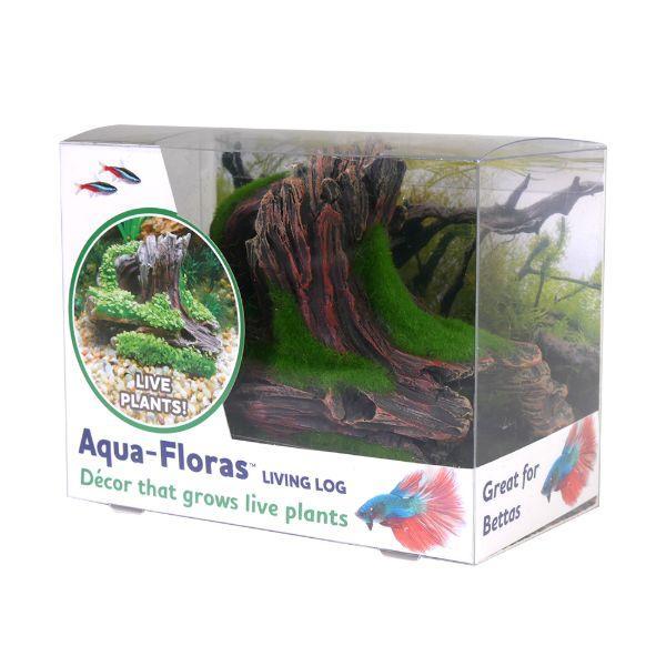 Aqua Flores Living Log