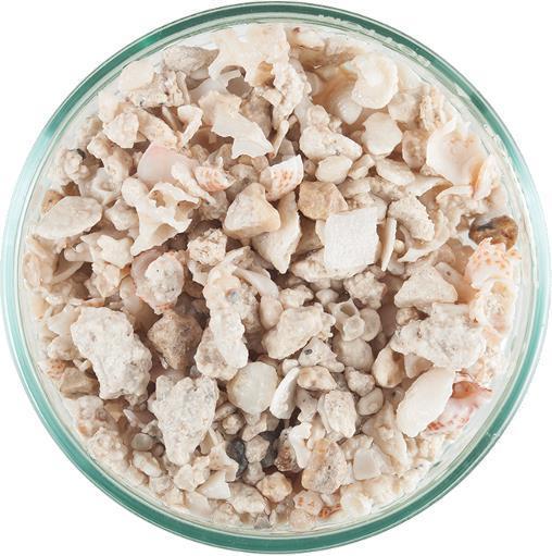 10# Caribsea Aragalive Crushed Coral