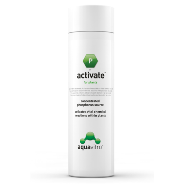 AquaVitro Activate 350ml