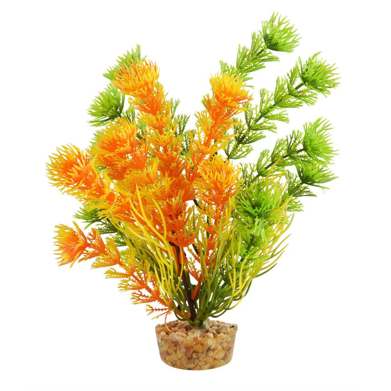 UT Cabomba - Orange - 6"