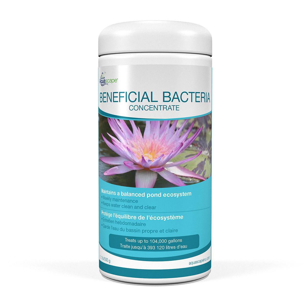 Aquascape Pond Beneficial Bacteria Concentrate 500g