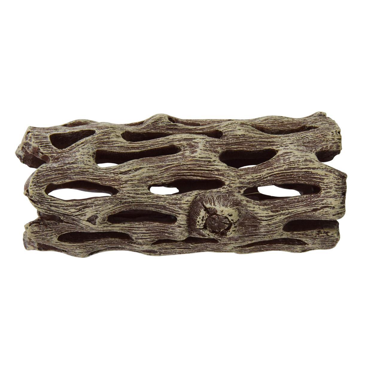 Cholla Wood Small