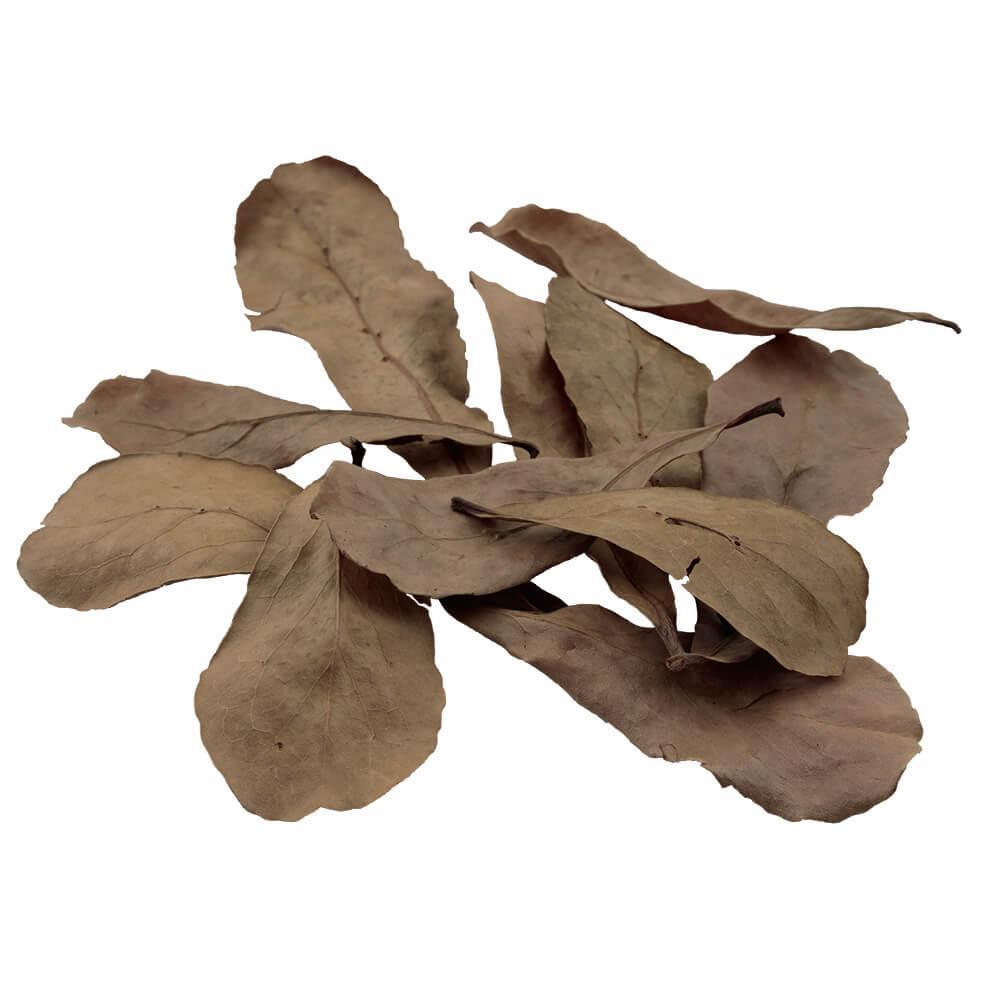 Fluval Betta Tropical Almond Leaves - 10 pack