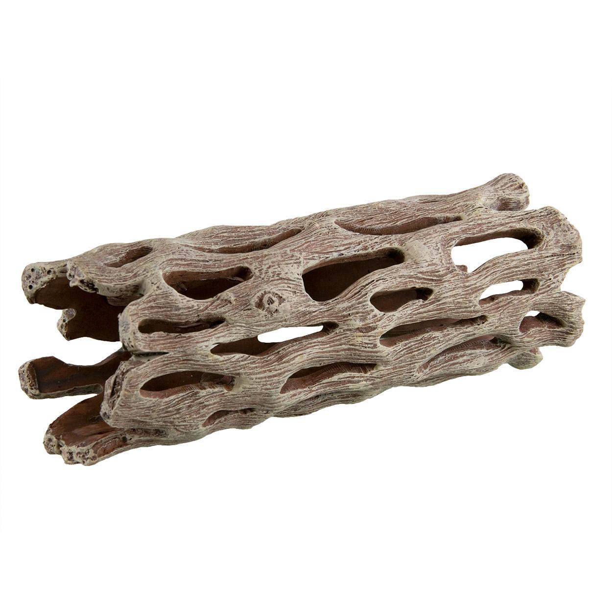 UT Cholla Wood Medium