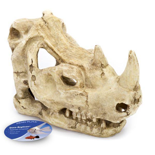 Rhino Skull