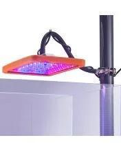Neptune Gro W/Pipe Mount