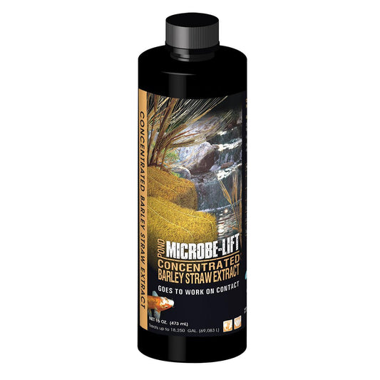 Pond Barley Extract 16oz
