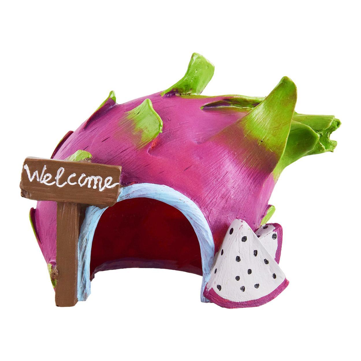 UT Dragonfruit Home