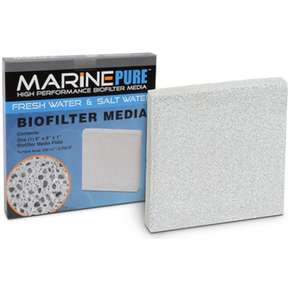Marine Pure 8x8x1" Block
