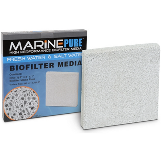 Marine Pure 8x8x1" Block