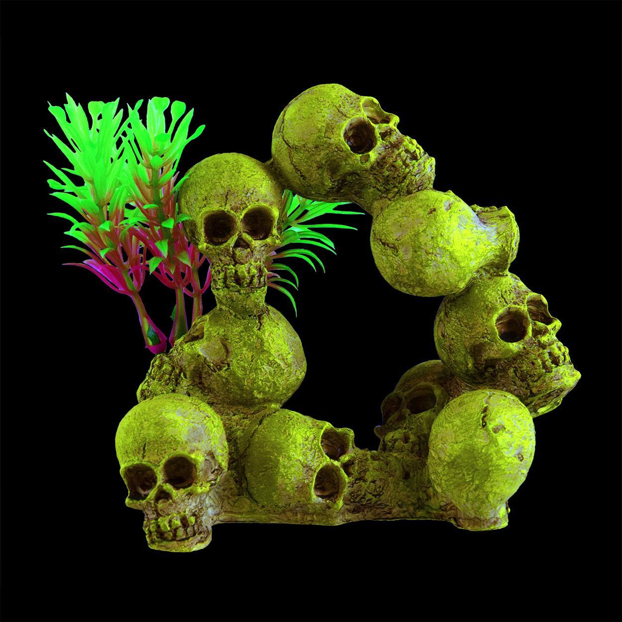 UT GLO RING O SKULLS MD