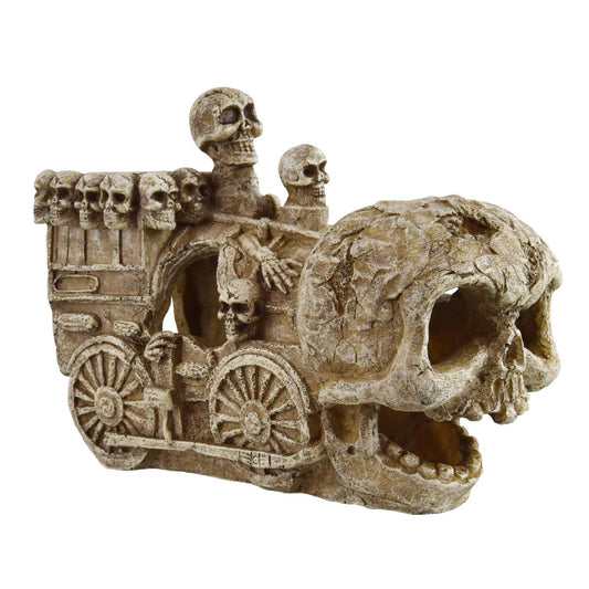 UT Big Skull Train