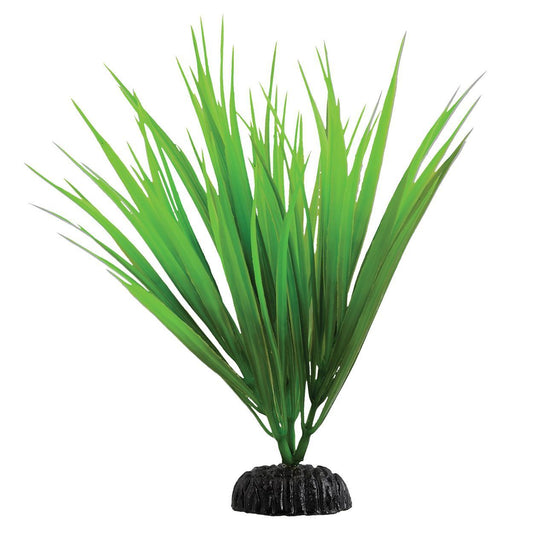 Green Nile Grass - 7.5"