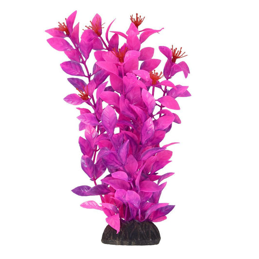 UT Ludwigia Pink 8"