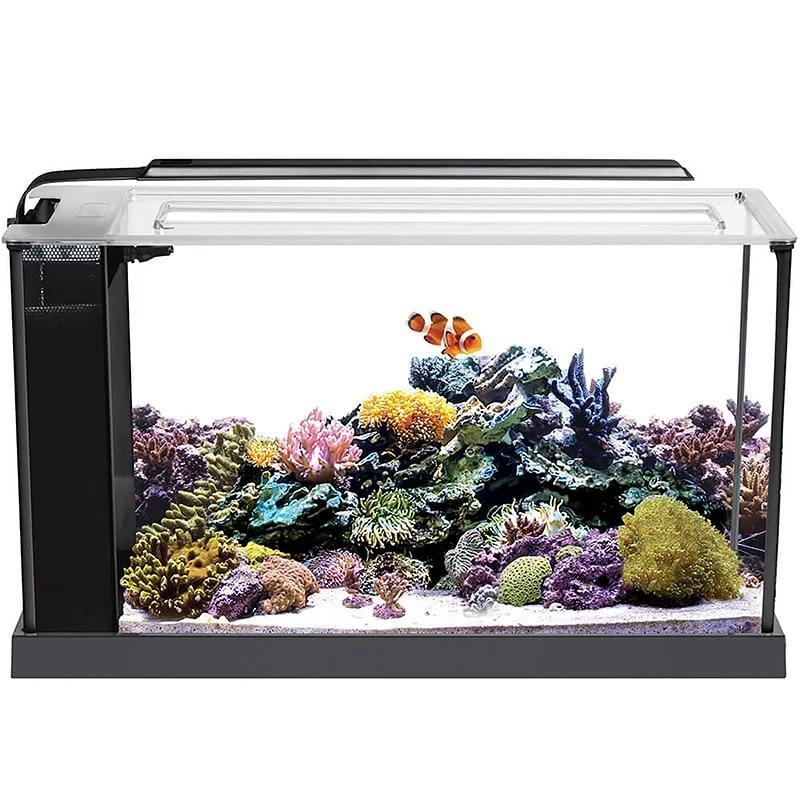 Fluval Evo 5g Aquarium Kit