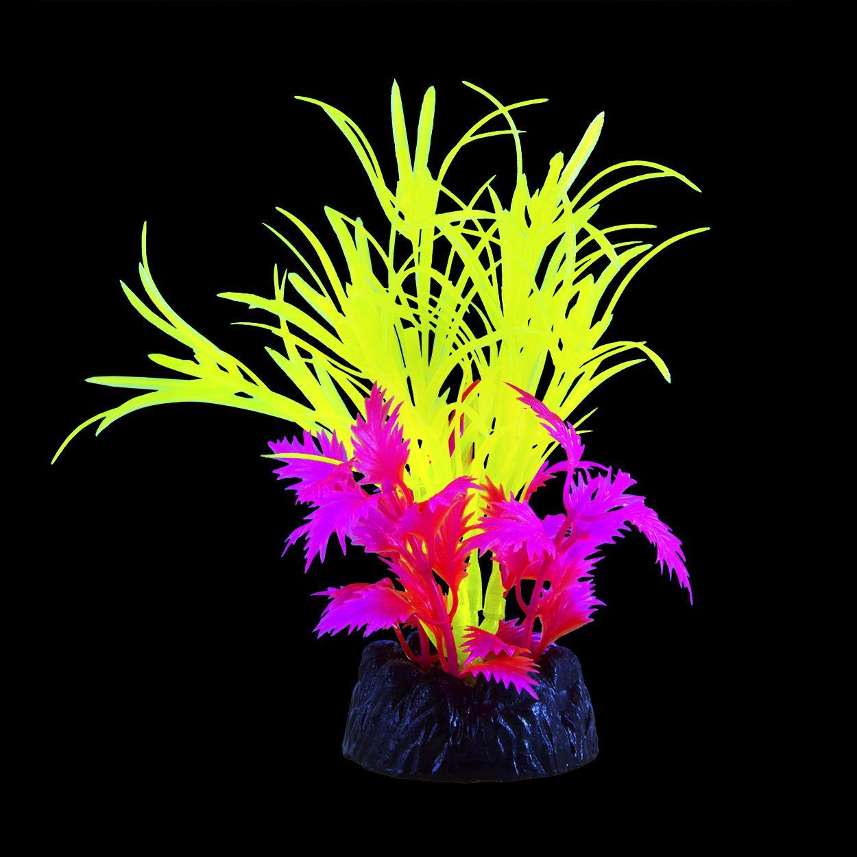 UT Glo Star Grass Green Small