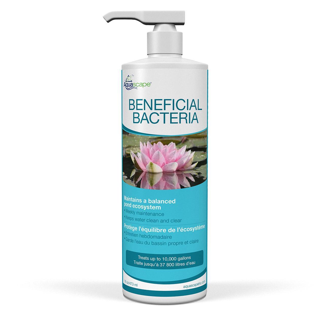 Aquascape Pond Beneficial Bacteria 16oz