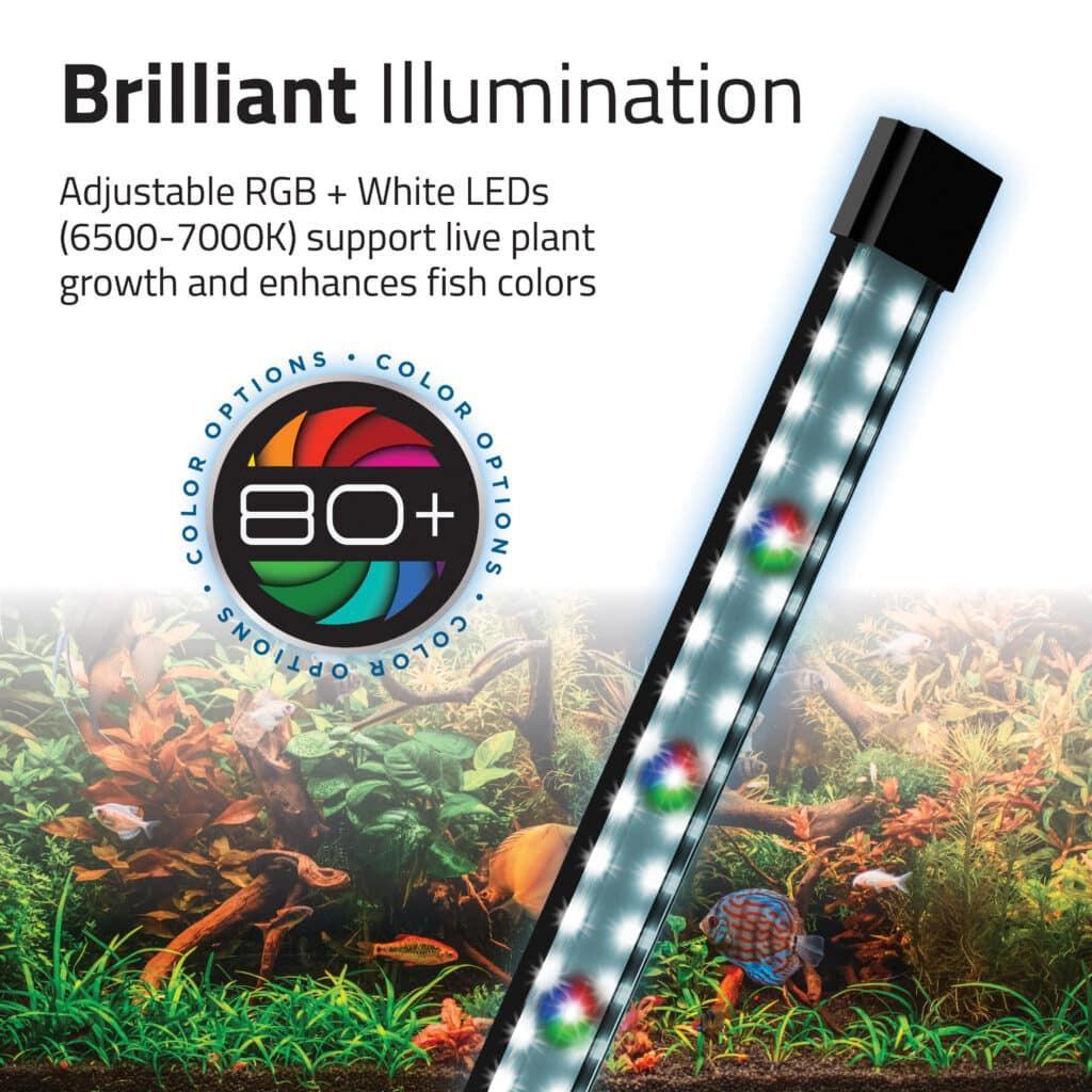 Flex 2.0 Aquarium Kit 15 US Gal