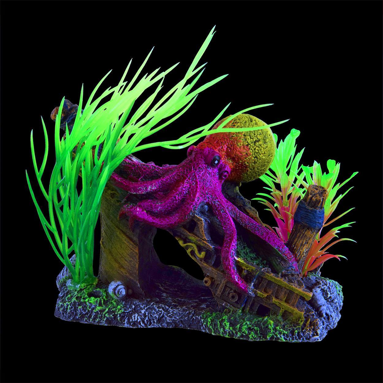 UT GLO OCTOPUS WRECK